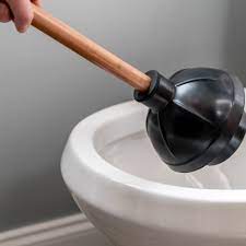 What to Do If Something Gets Accidentally Flushed Down the Toilet